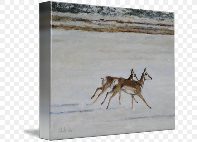 Reindeer Impala Springbok Gazelle Antler, PNG, 650x592px, Reindeer, Antelope, Antler, Chevrolet Impala, Deer Download Free