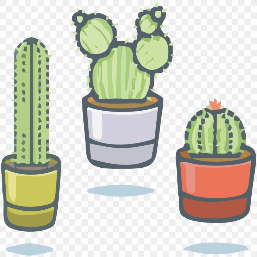 Cactaceae Succulent Plant Illustration, PNG, 1004x1004px, Cactaceae, Cactus, Caryophyllales, Dribbble, Flowering Plant Download Free