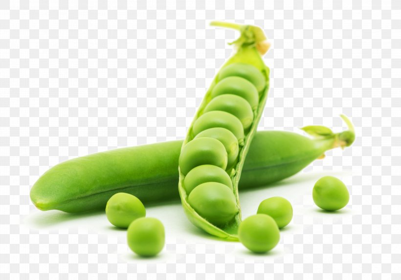 Dal Pea Protein Vegetable Food, PNG, 4658x3264px, Dal, Bean, Blackeyed Pea, Broad Bean, Chickpea Download Free