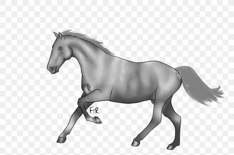 Mane Mustang Stallion Foal Pony, PNG, 1095x730px, Mane, Animal Figure, Black And White, Bridle, Canter And Gallop Download Free