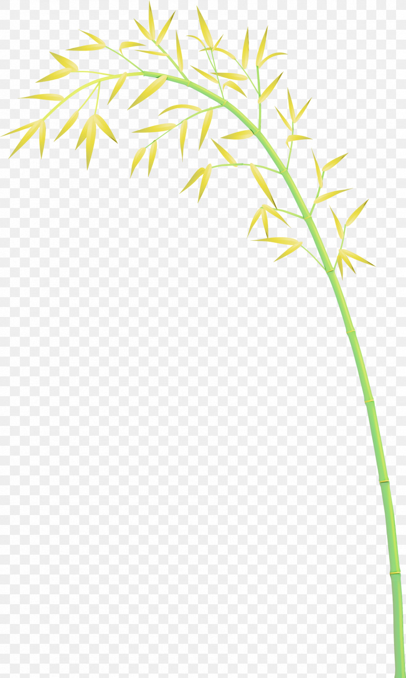 Plant Plant Stem Grass Leaf Grass Family, PNG, 1796x3000px, Bamboo, Flower, Grass, Grass Family, Leaf Download Free