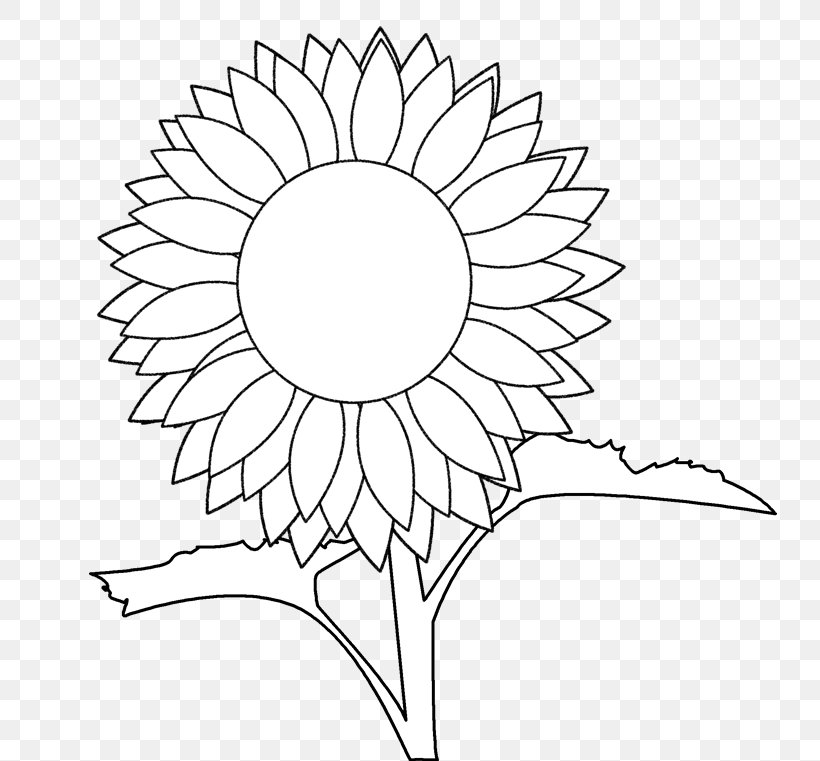 Common Sunflower Coloring Book Drawing, PNG, 800x761px, Flower, Area, Art, Artwork, Black Download Free