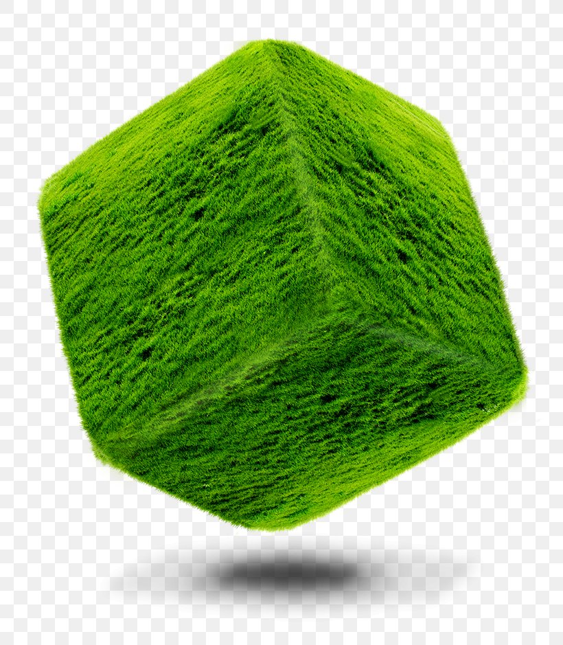 Cube Square Green, PNG, 774x939px, Cube, Color, Geometry, Grass, Grass Family Download Free