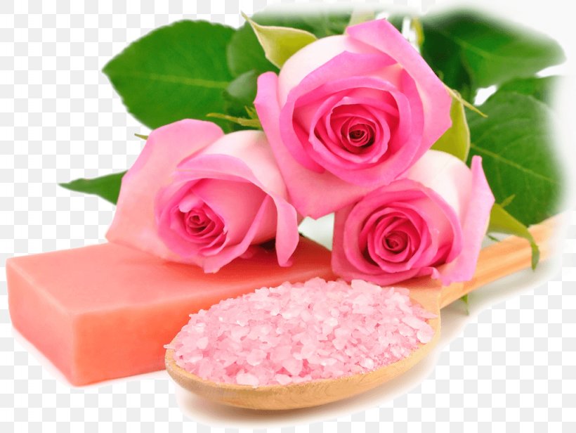 Desktop Wallpaper Rose Pink Spa Flower, PNG, 1024x770px, Rose, Color, Cut Flowers, Desktop Metaphor, Floral Design Download Free