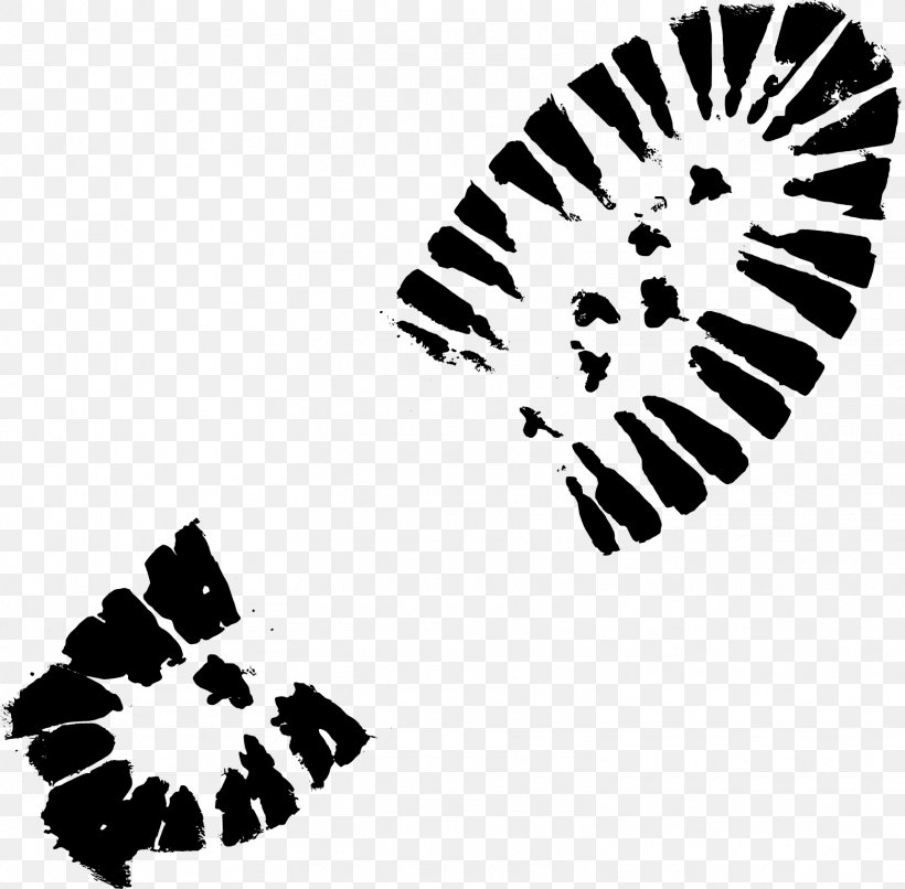 Footprint Clip Art, PNG, 1561x1535px, Footprint, Black, Black And White, Butterfly, Display Resolution Download Free