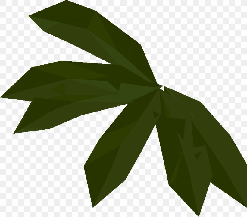Green Leaf Background, PNG, 885x775px, Leaf, Flower, Green, Plant, Plant Stem Download Free