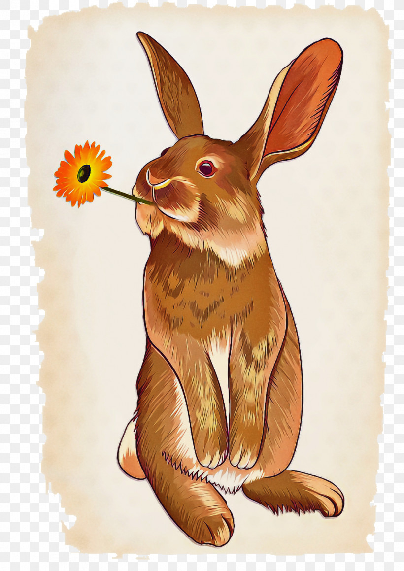 Hare Drawing Line Art Cartoon Rabbit, PNG, 1018x1440px, Hare, Cartoon, Drawing, Line Art, Rabbit Download Free
