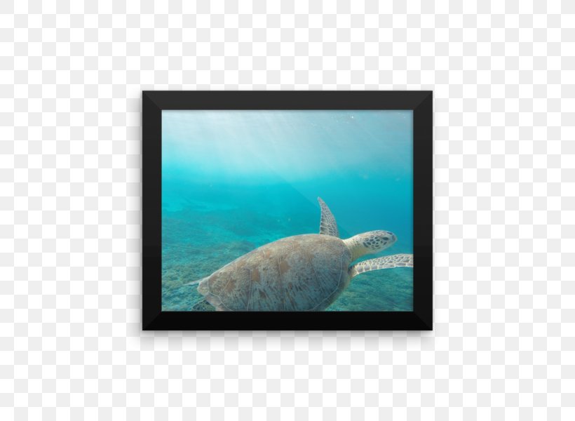 Marine Mammal Marine Biology Underwater Ocean, PNG, 600x600px, Marine Mammal, Animal, Aqua, Biology, Fauna Download Free