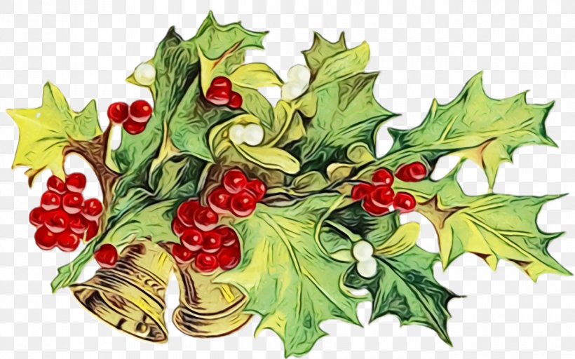 Holly, PNG, 1300x812px, Christmas Holly, Branch, Christmas, Flower, Hawthorn Download Free