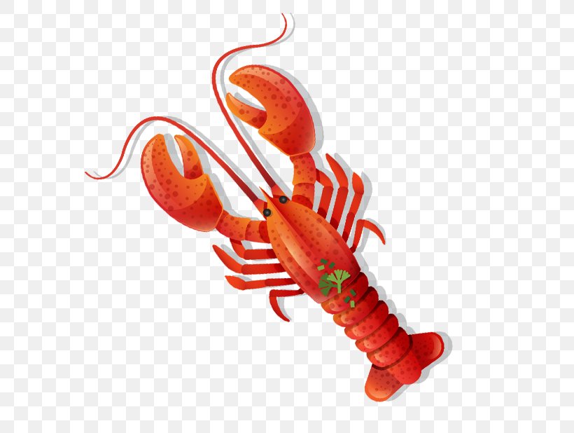 Lobster Seafood, PNG, 738x618px, Lobster, Cartoon, Crayfish, Decapoda, Food Download Free