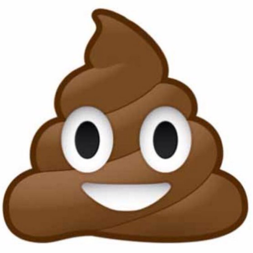 Pile Of Poo Emoji Feces Sticker Defecation, PNG, 1024x1024px, Pile Of Poo Emoji, Beak, Bird, Brown, Child Download Free