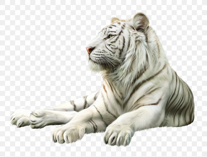 Tiger Lion Cat Gray Wolf Animal, PNG, 1309x994px, Tiger, Animal, Big Cat, Big Cats, Blog Download Free