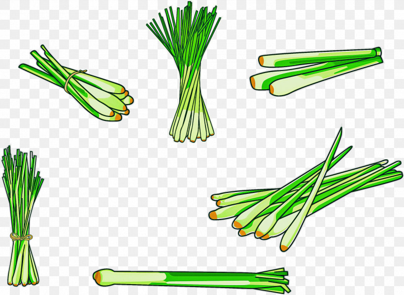 Chives Welsh Onion Vegetable Plant Leek, PNG, 2496x1823px, Chives, Allium, Amaryllis Family, Garlic Chives, Grass Download Free