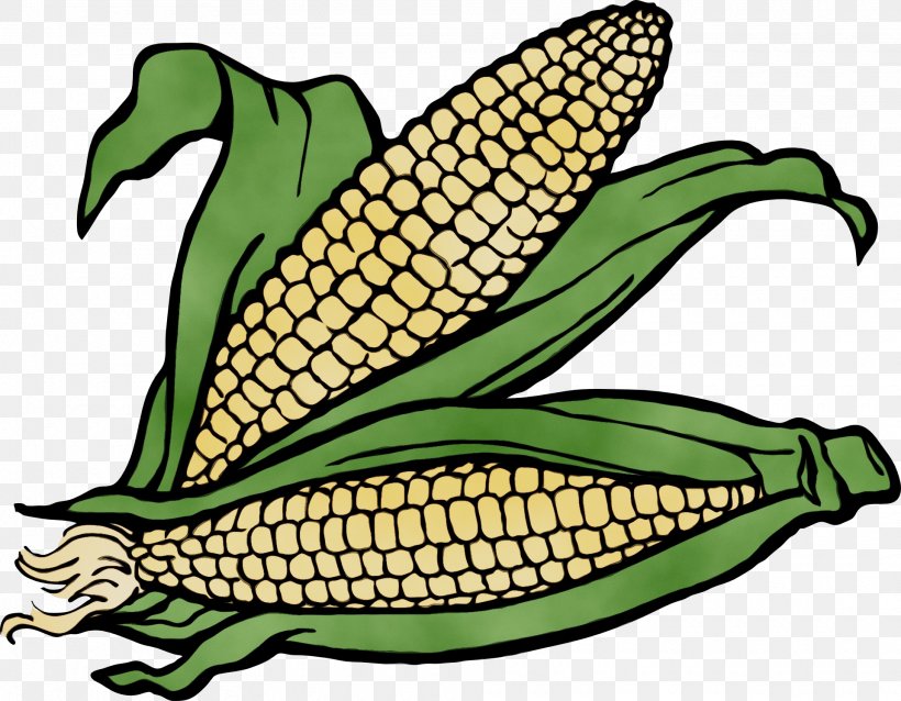 Corn On The Cob Corn Sweet Corn Plant Vegetarian Food, PNG, 1920x1496px, Watercolor, Corn, Corn On The Cob, Paint, Plant Download Free