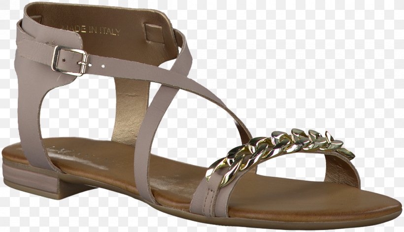 Sandal Footwear Shoe Slide Brown, PNG, 1204x693px, Sandal, Beige, Brown, Footwear, Shoe Download Free