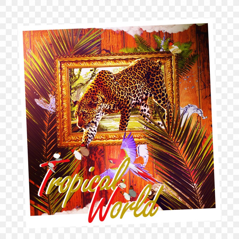 Tiger Jaguar Samsung Advertising Wildlife, PNG, 960x960px, Tiger, Advertising, African Leopard, Big Cats, Cafepress Download Free