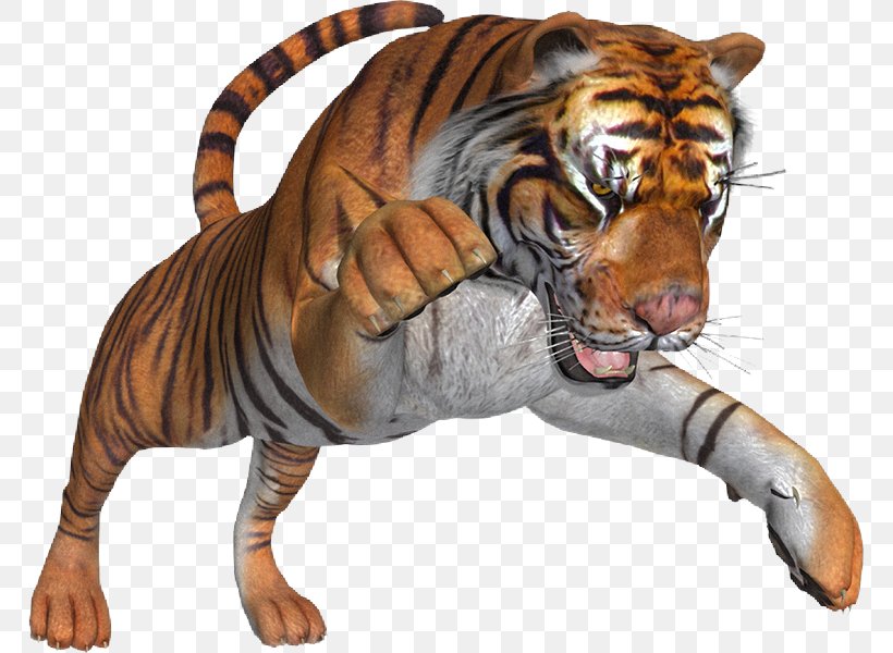 Tiger Lion Cat Clip Art, PNG, 767x600px, Tiger, Animal, Big Cat, Big Cats, Carnivoran Download Free