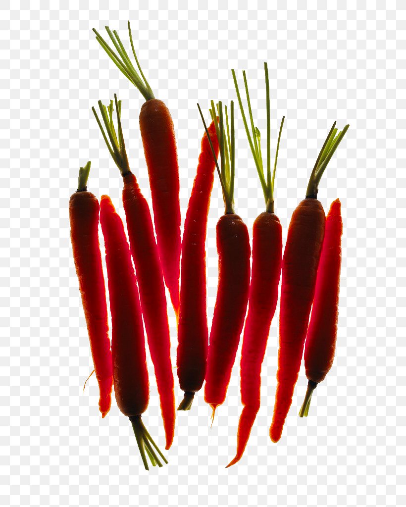 Backlight Birds Eye Chili Carrot, PNG, 751x1024px, Light, Backlight, Bell Peppers And Chili Peppers, Birds Eye Chili, Carrot Download Free