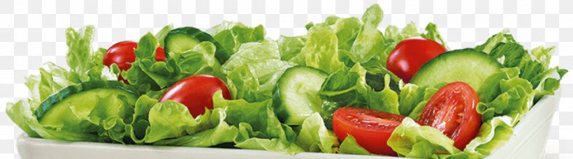 Caesar Salad Stuffing Vinaigrette Salad Spinner, PNG, 1120x312px, Caesar Salad, Bell Peppers And Chili Peppers, Cooking, Cut Flowers, Floristry Download Free