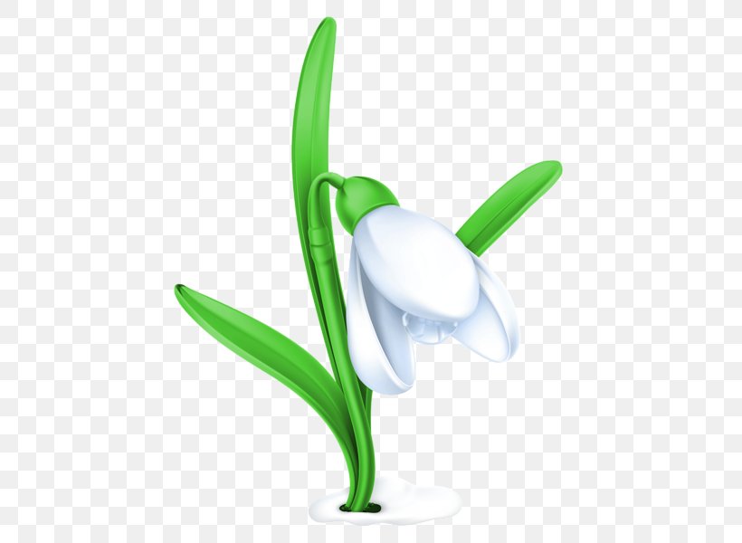 Snowdrop Clip Art, PNG, 457x600px, Snowdrop, Chart, Data Compression, Diagram, Drawing Download Free