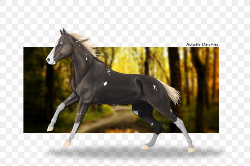 Stallion Foal Colt Mare Halter, PNG, 1023x682px, Stallion, Bridle, Bushmen, Colt, Dream Download Free