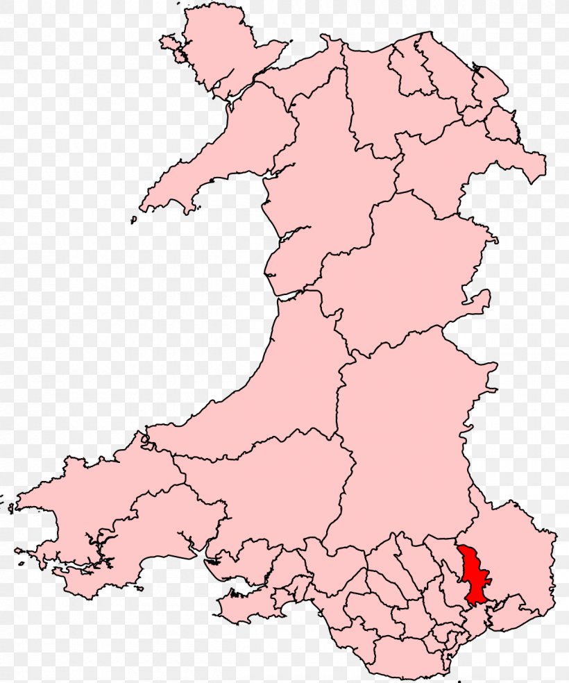 Anglesey Rhondda Cardiff Llanelli Vale Of Glamorgan, PNG, 1200x1440px, Anglesey, Area, Cardiff, Ecoregion, Electoral District Download Free
