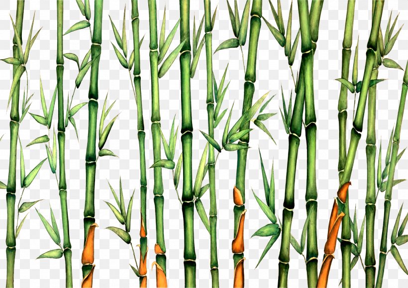 Bamboo Download, PNG, 1417x999px, Bamboo, Bird, Blue, Google Images, Grass Download Free
