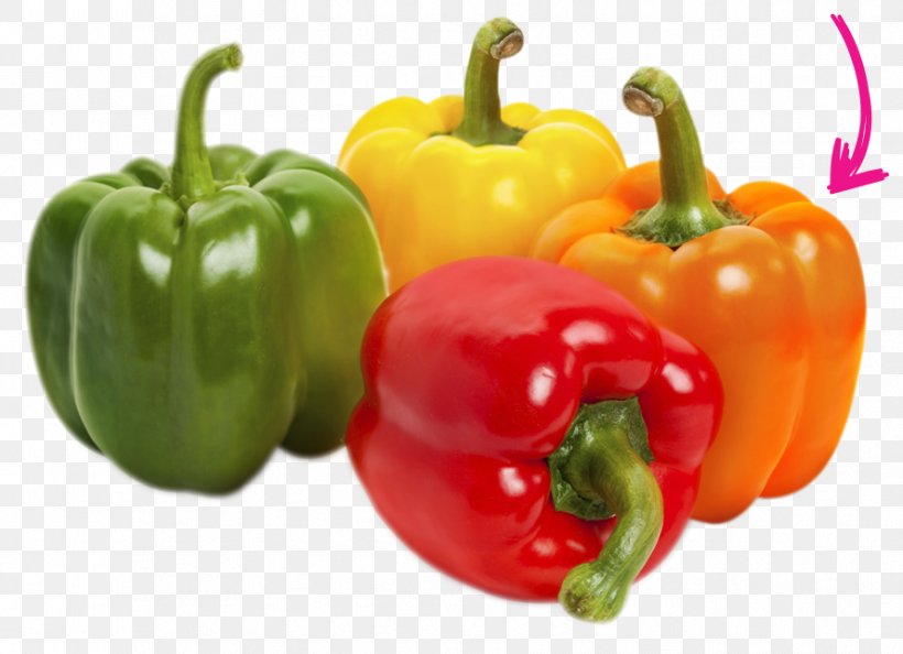 Bell Pepper Chili Pepper Cascabel Chili Yellow Pepper Fruit, PNG, 889x645px, Bell Pepper, Bell Peppers And Chili Peppers, Capsicum, Cascabel Chili, Cayenne Pepper Download Free