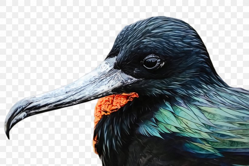 Bird Beak Raven Raven Crow, PNG, 2448x1632px, Watercolor, Beak, Bird, Blackbird, Crow Download Free