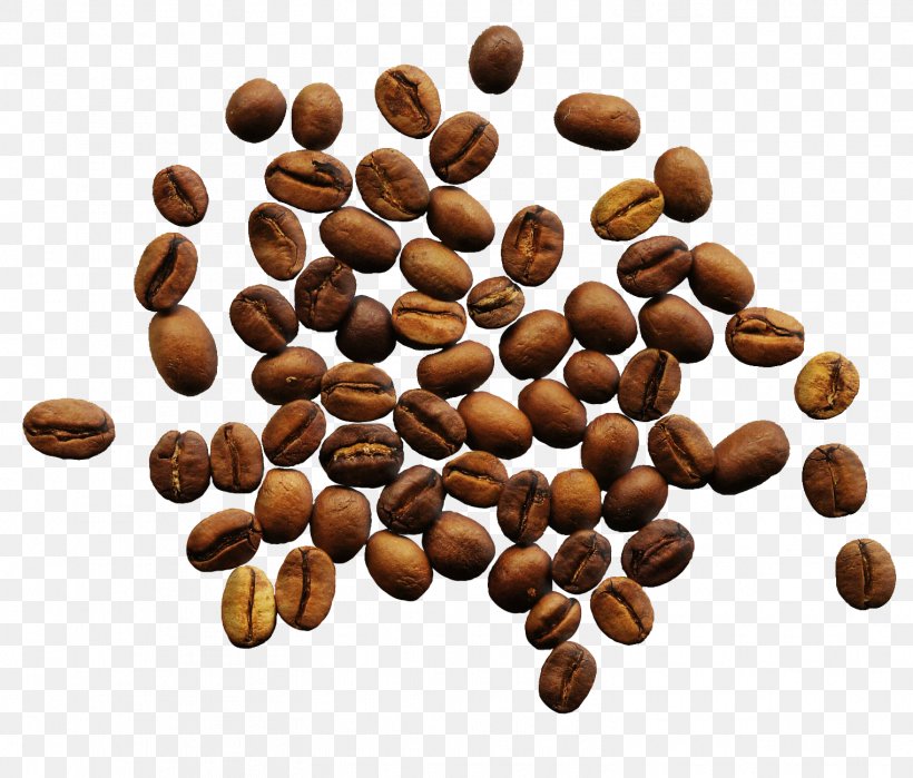 Jamaican Blue Mountain Coffee Espresso Single-origin Coffee Coffee Bean, PNG, 1522x1298px, Coffee, Arabica Coffee, Bean, Chocolate Coated Peanut, Coffee Bean Download Free