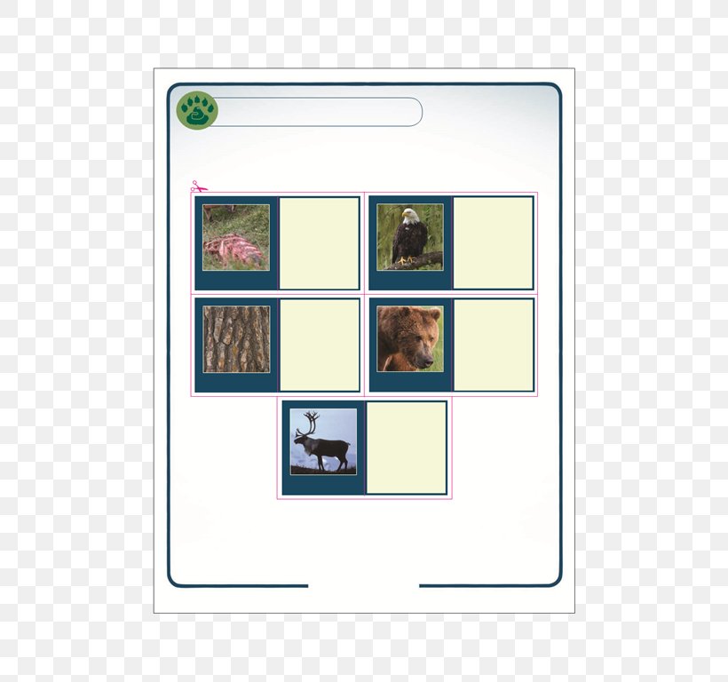 Picture Frames Square Meter Pattern, PNG, 594x768px, Picture Frames, Area, Meter, Picture Frame, Rectangle Download Free