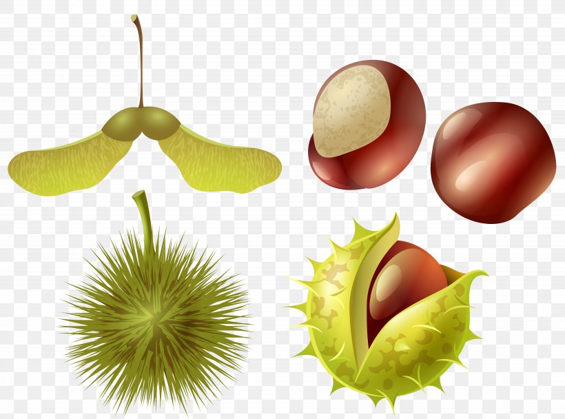 Clip Art Image Vector Graphics Openclipart, PNG, 8000x5938px, Art Museum, Autumn, Botany, Carnivorous Plant, Chestnut Download Free