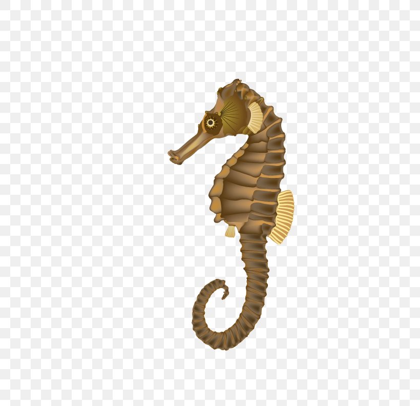 Seahorse Clip Art, PNG, 612x792px, Seahorse, Free Content, Photography, Presentation, Royaltyfree Download Free