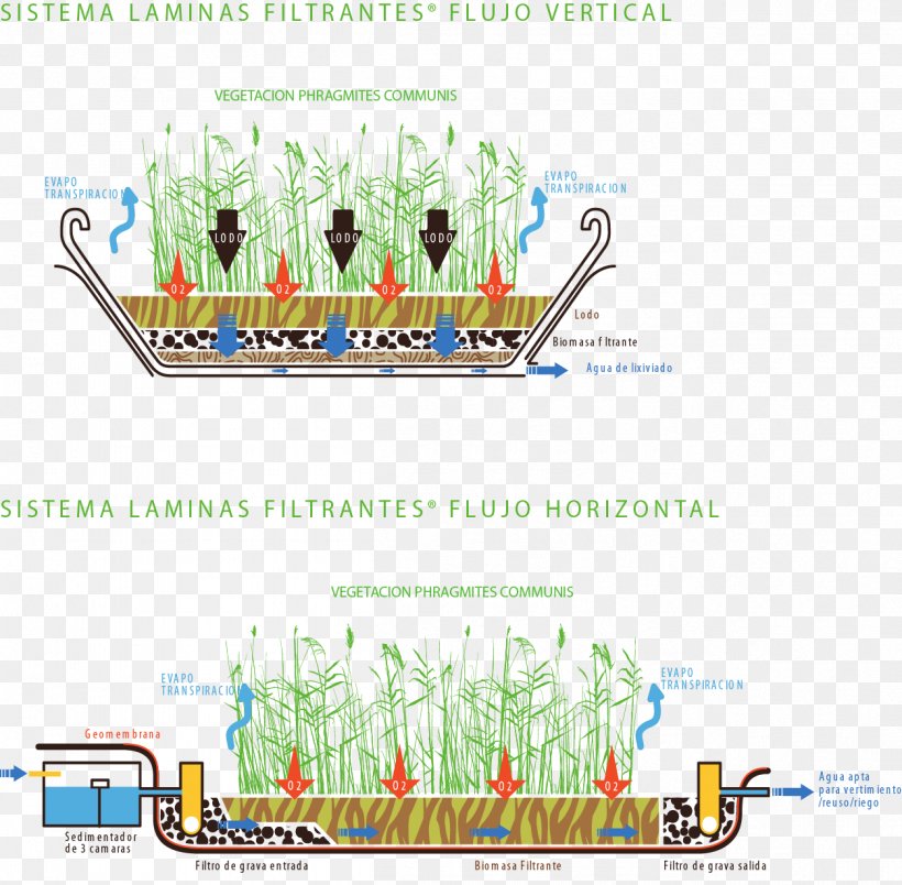 Water Resources Tree Line Point, PNG, 1253x1230px, Water Resources, Area, Diagram, Grass, Lawn Download Free