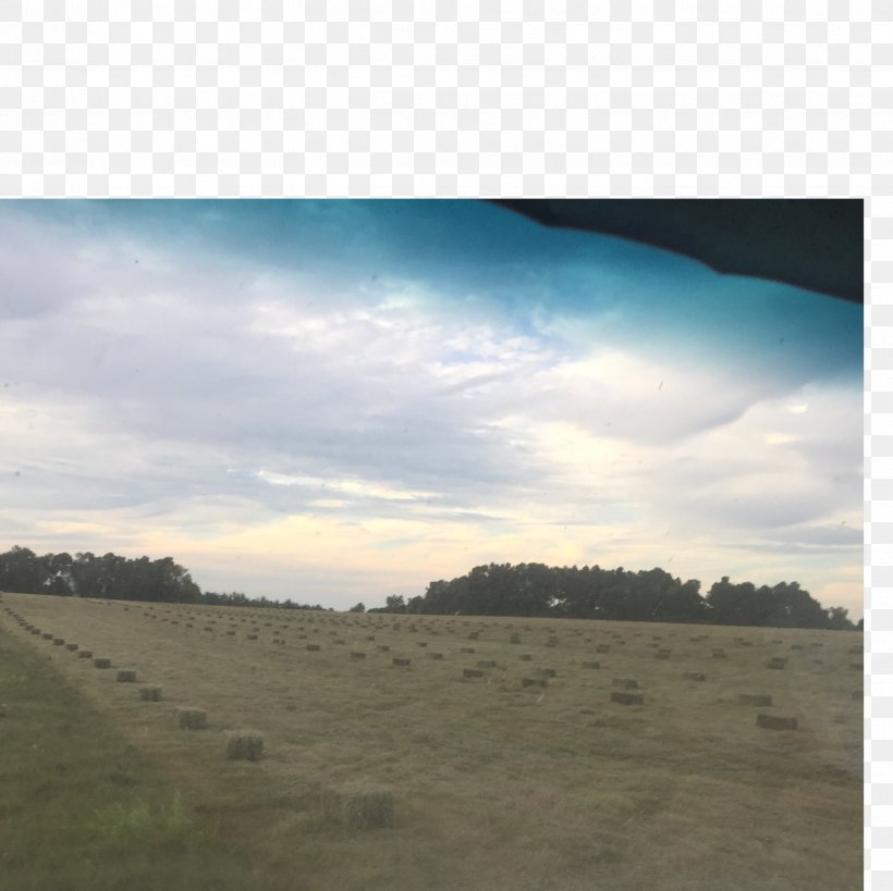 Cumulus Steppe Grassland Land Lot Ecoregion, PNG, 2448x2448px, Cumulus, Atmosphere, Cloud, Daytime, Ecoregion Download Free