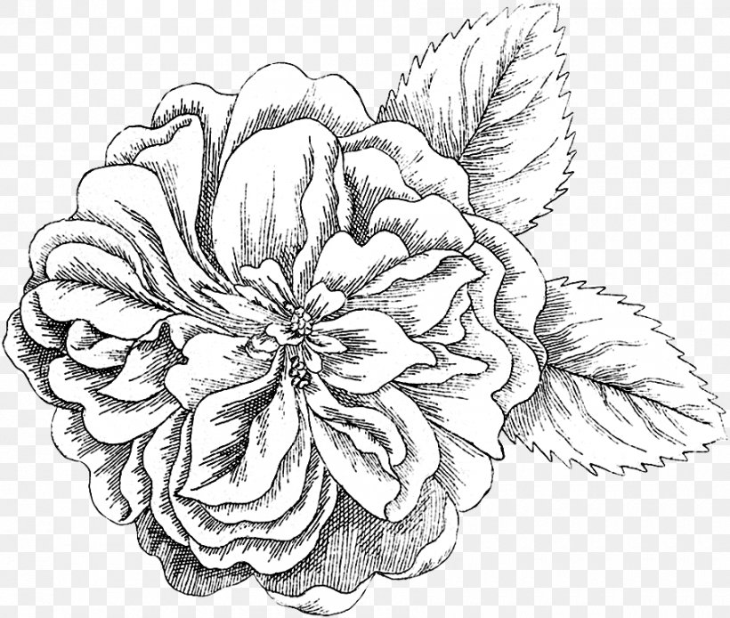 Floral Design Cut Flowers Drawing, PNG, 900x762px, Floral Design, Art, Artwork, Black And White, Botanical Illustration Download Free