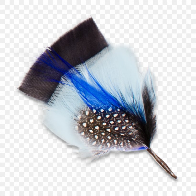 Hat Goorin Bros. Clothing Accessories United States Feather, PNG, 1000x1000px, Hat, Classical Music, Clothing Accessories, Fashion Accessory, Feather Download Free
