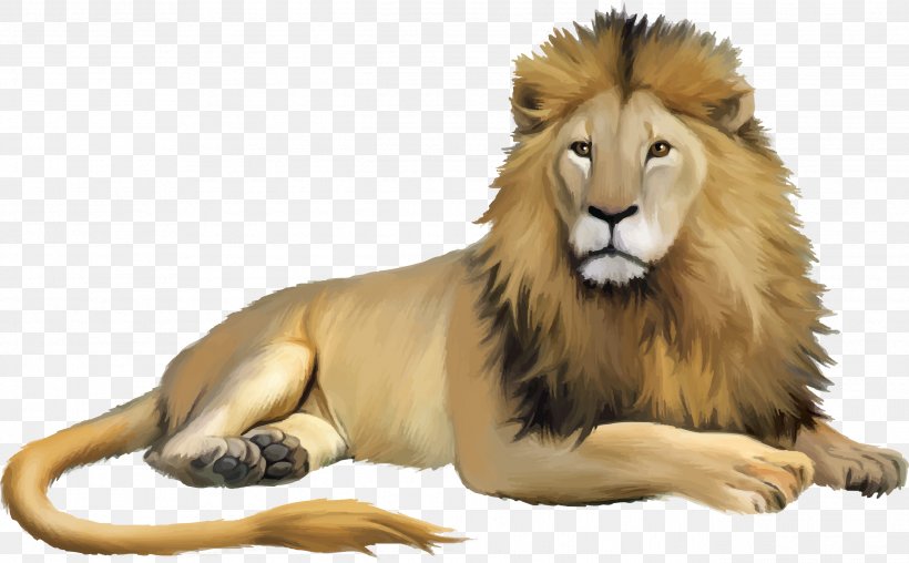 Lion Cartoon, PNG, 2586x1605px, Lion, Animal, Animation, Big Cats, Carnivoran Download Free