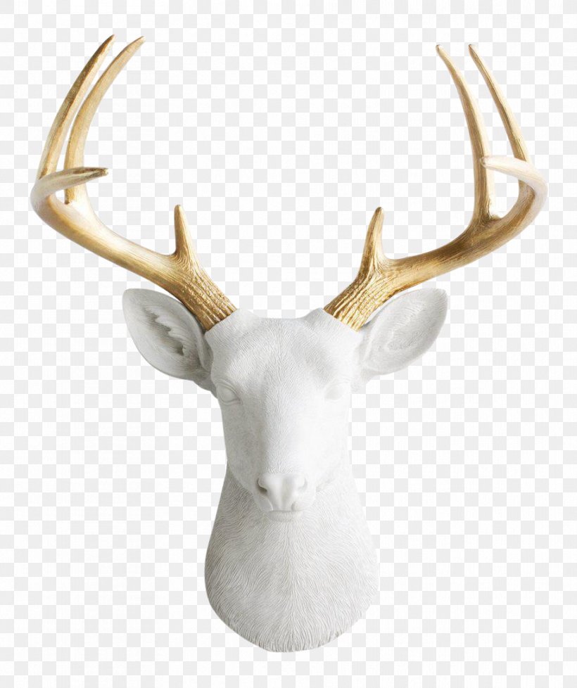 White-tailed Deer Antler Taxidermy Wall Decal, PNG, 911x1087px, Deer, Antler, Art, Art Deco, Color Download Free