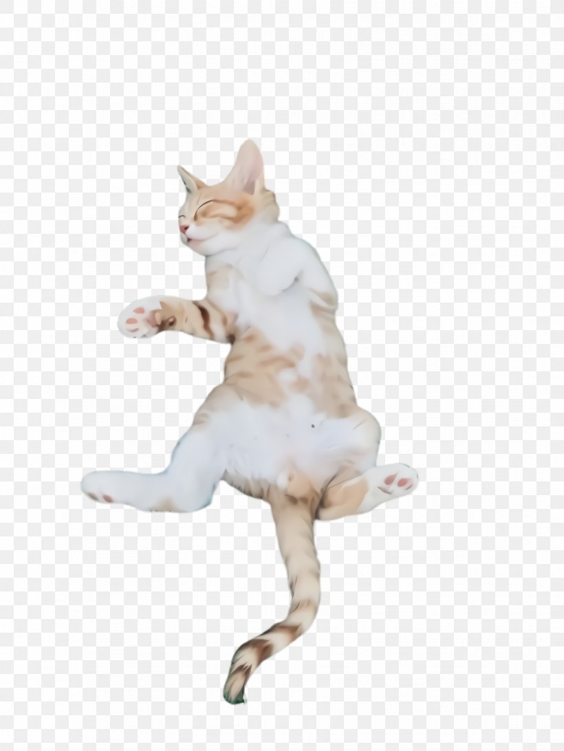 Cat White Figurine Small To Medium-sized Cats Tail, PNG, 1732x2308px, Cat, Animal Figure, Figurine, Jumping, Kick Download Free