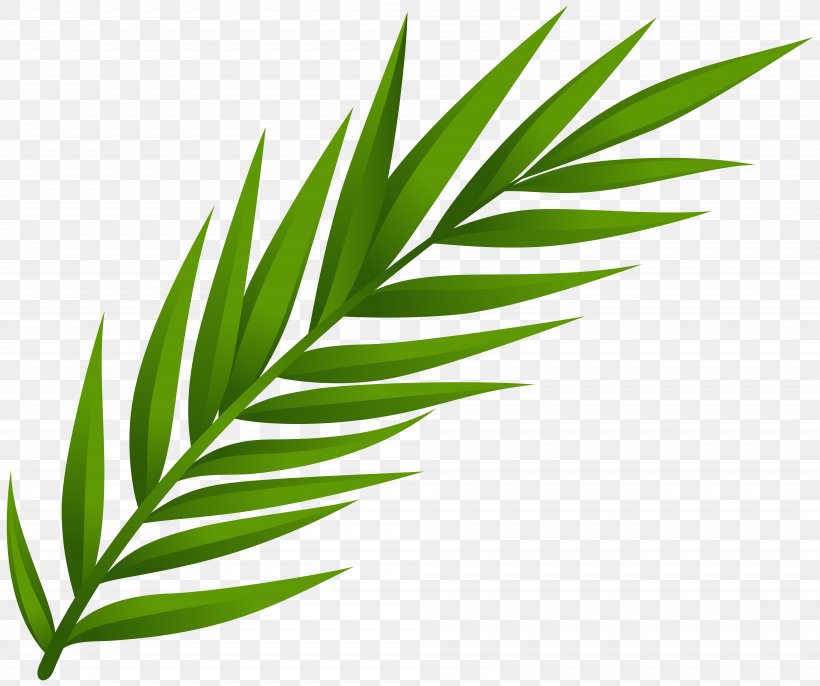 Leaf Clip Art, PNG, 8000x6702px, Leaf, Arecales, Black And White, Grass, Grass Family Download Free