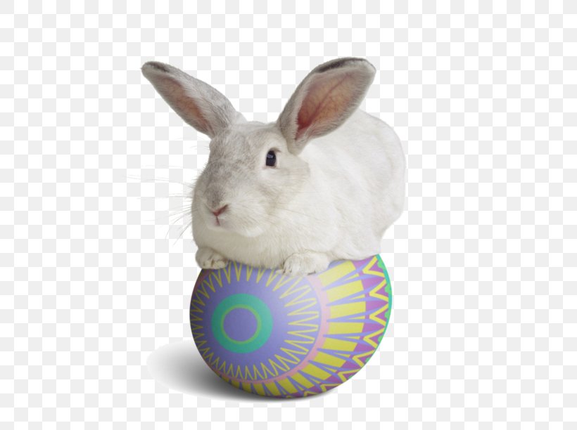 Domestic Rabbit Easter Bunny, PNG, 600x612px, Domestic Rabbit, Easter, Easter Bunny, Rabbit, Rabits And Hares Download Free