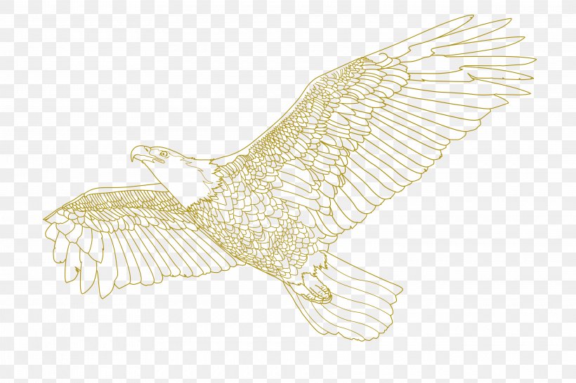 Eagle Owl /m/02csf Hawk Drawing, PNG, 3840x2560px, Eagle, Beak, Bird, Bird Of Prey, Drawing Download Free