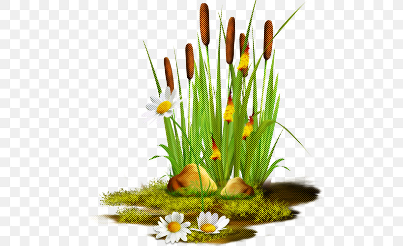 Floral Design, PNG, 500x500px, Flower, Crocus, Floral Design, Floristry, Flower Arranging Download Free