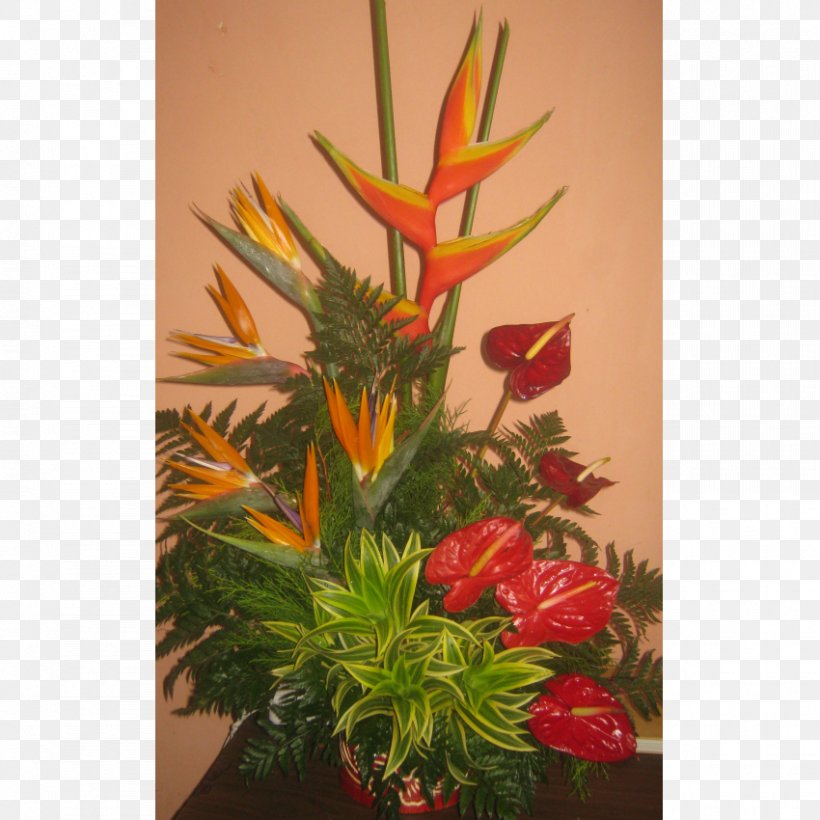 Floral Design Flowerpot Flowering Plant, PNG, 850x850px, Floral Design, Flora, Floristry, Flower, Flower Arranging Download Free