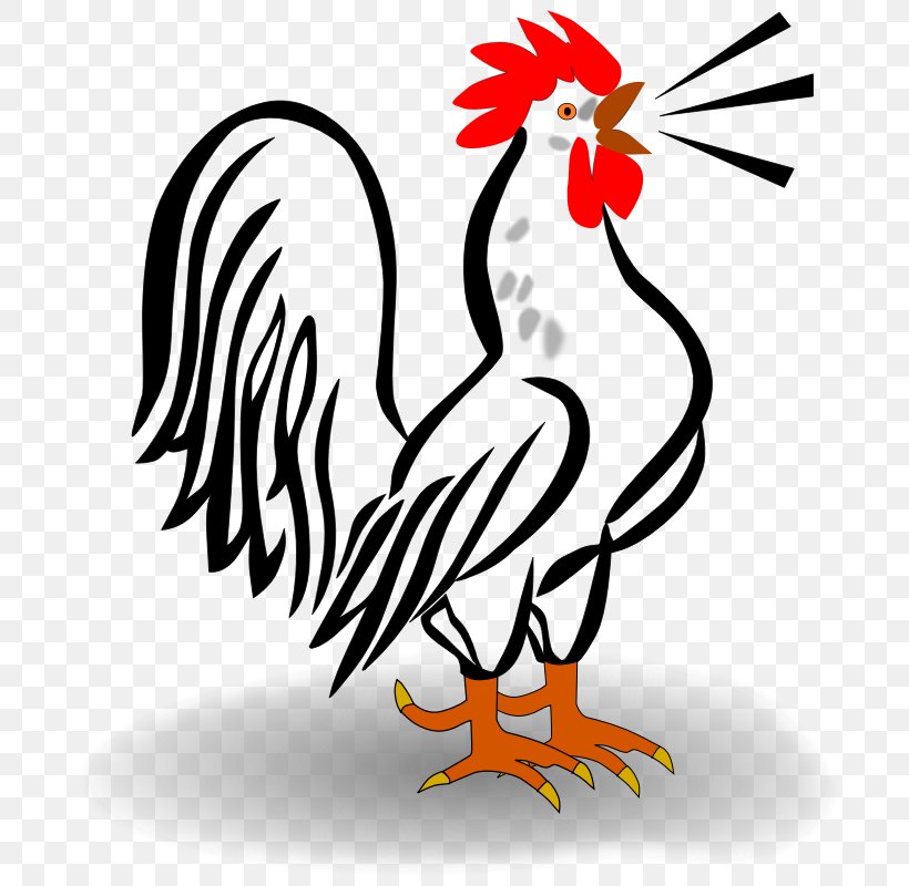 Houdan Chicken Leghorn Chicken Hamburg Chicken Cochin Chicken Rooster, PNG, 800x800px, Houdan Chicken, Artwork, Beak, Bird, Black And White Download Free