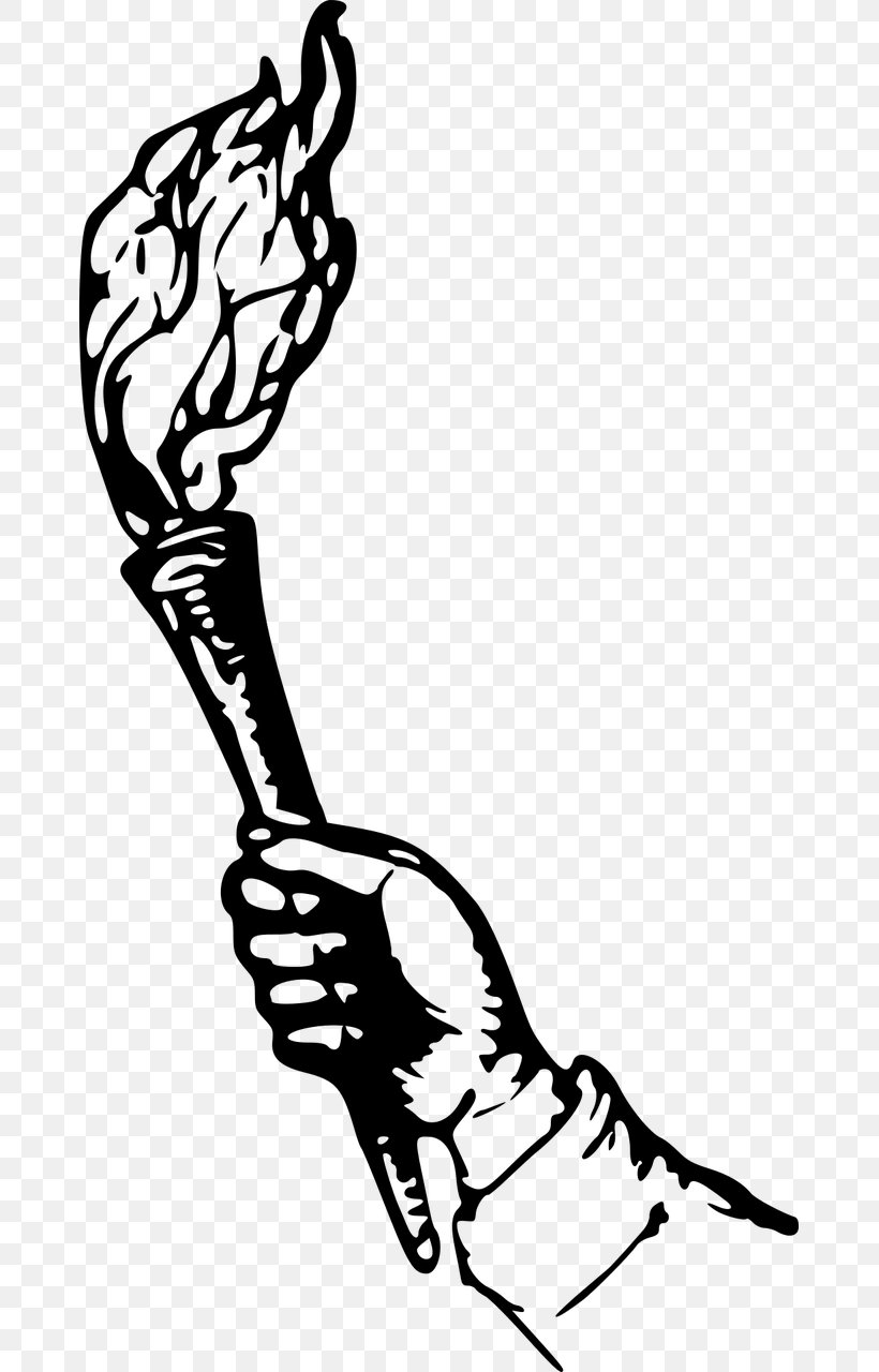 Torch Drawing Light Clip Art, PNG, 671x1280px, Torch, Area, Arm, Art, Artwork Download Free