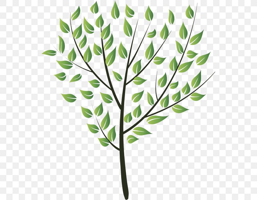 Drawing, PNG, 555x640px, Drawing, Art, Branch, Flora, Grass Download Free