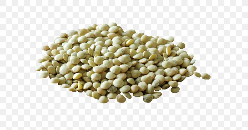 Lentil Vegetarian Cuisine Common Bean Mung Bean, PNG, 600x430px, Lentil, Bean, Commodity, Common Bean, Food Download Free