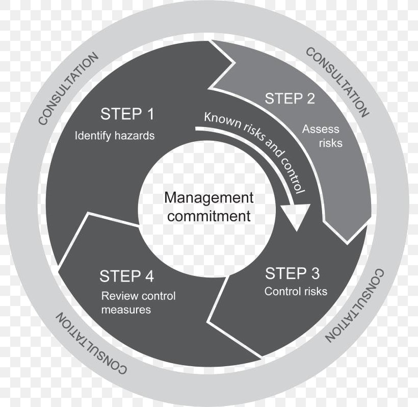 Risk Management Risk Assessment Hazard, PNG, 800x798px, Risk Management, Brand, Control, Control Selfassessment, Diagram Download Free